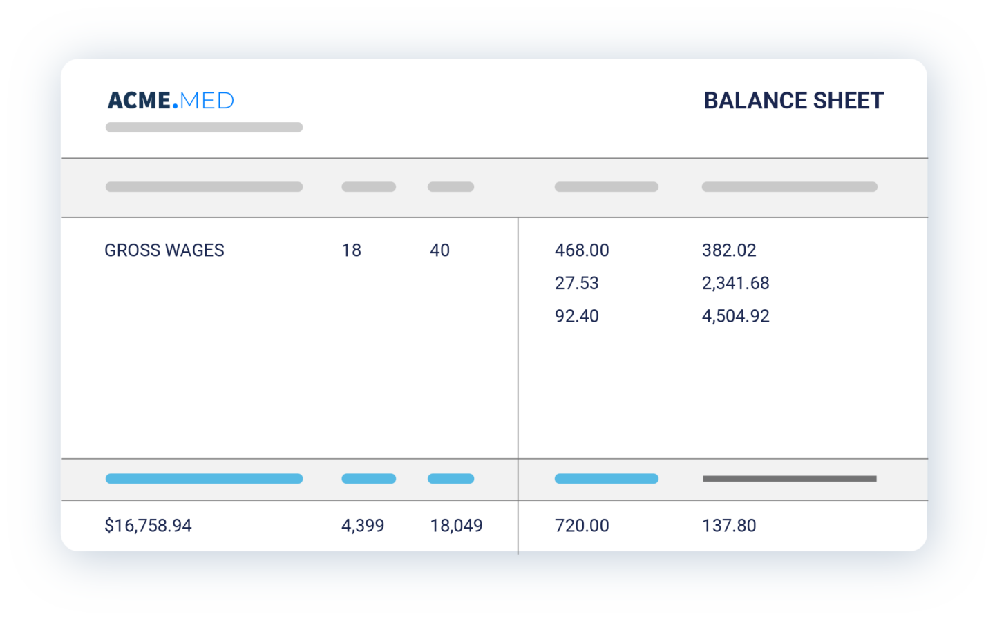 Acme Med Balance Sheet Mockup, showing a user case of medical staffing software